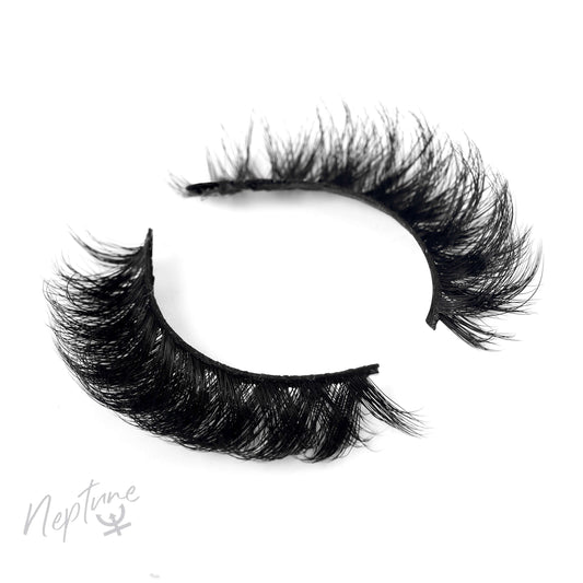 Neptune - Super Curl Strip Lashes - 6 Pairs Bundle
