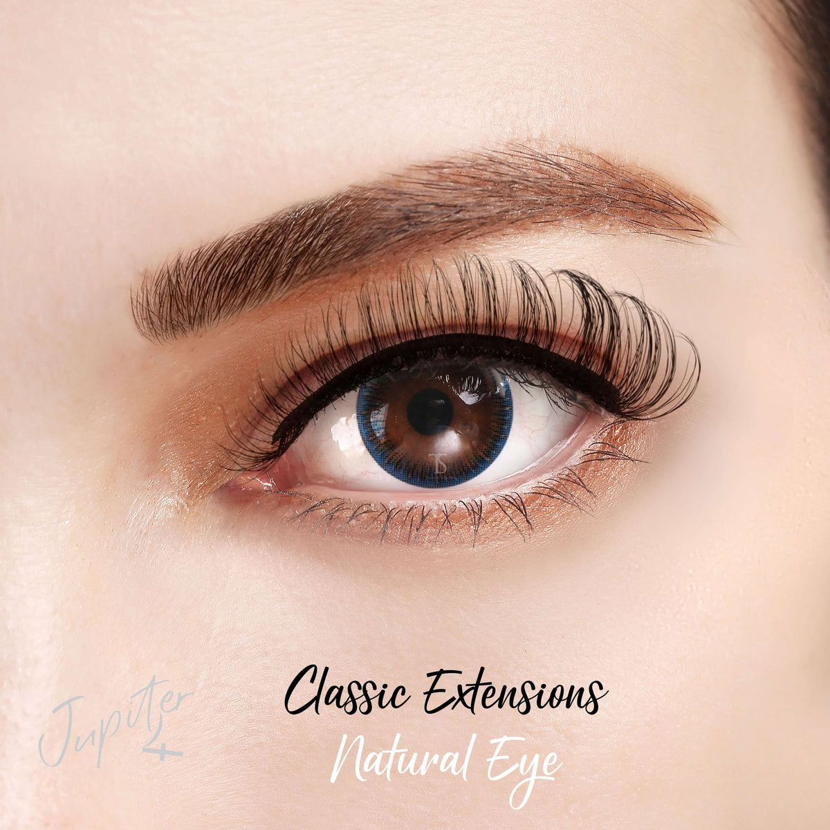 Jupiter - Super Curl Strip Lashes - 6 Pairs Bundle