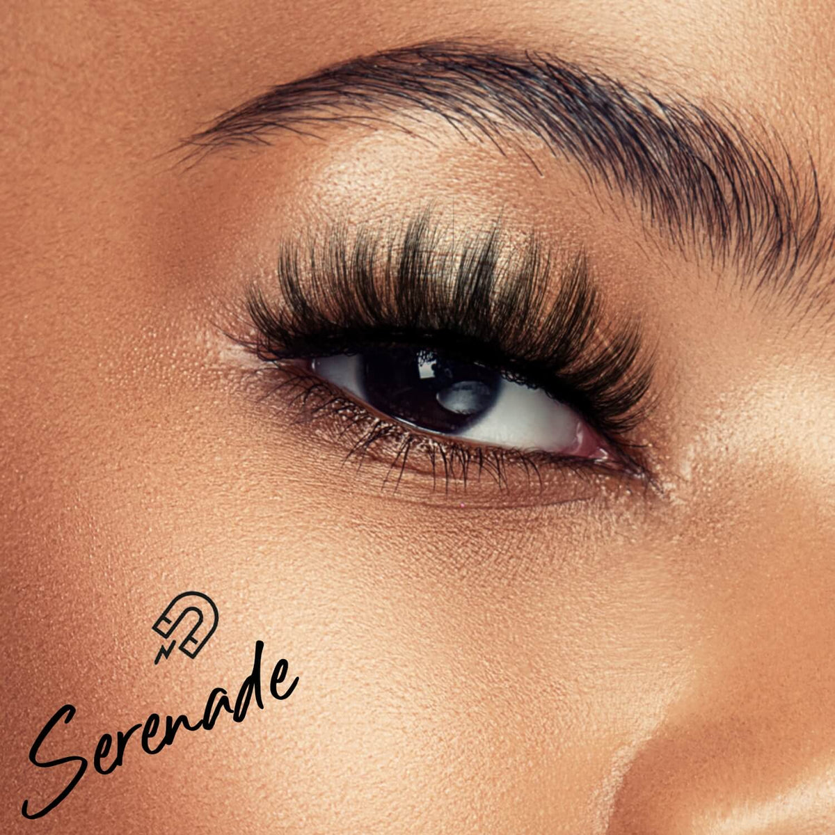 Serenade Magnetic Kit